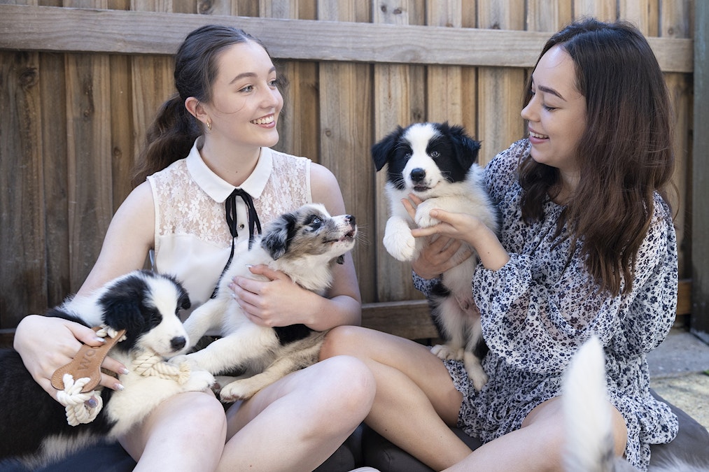 Popular Samford cafe Collies and Co announces permanent closure